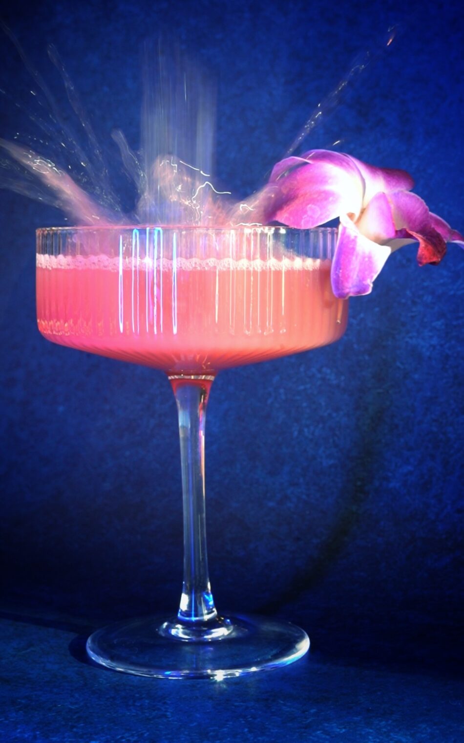 PINK FLAMINGO